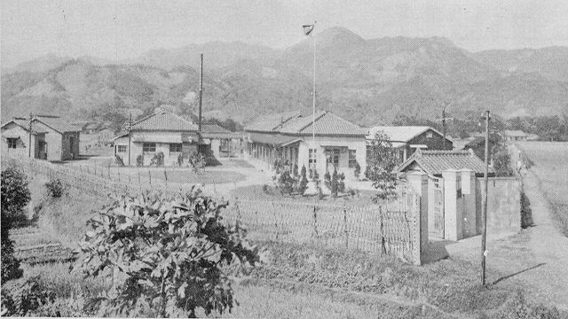 1960  立基起步,開創先河